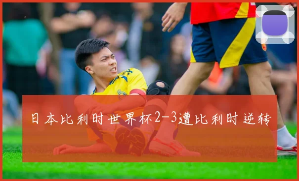 日本比利时世界杯2-3遭比利时逆转