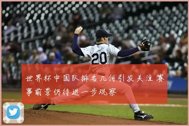世界杯中国队排名几何引发关注 赛事前景仍待进一步观察